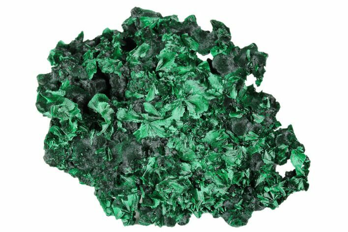 Silky, Fibrous Malachite Cluster - Congo #175335